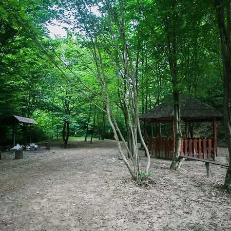 Tulipan Aquapark 酒店 Vyshkove