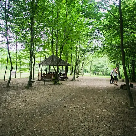 Tulipan Aquapark