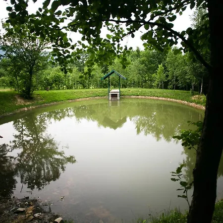 酒店 Tulipan Aquapark