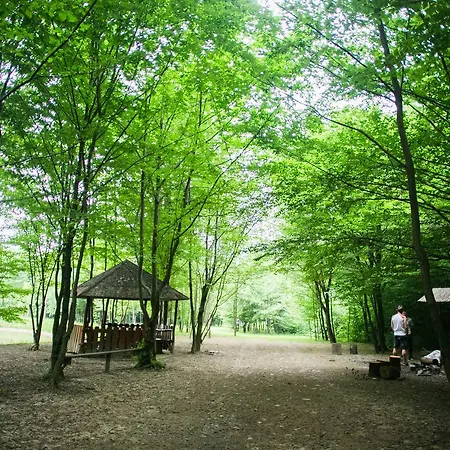 Tulipan Aquapark 酒店 Vyshkove